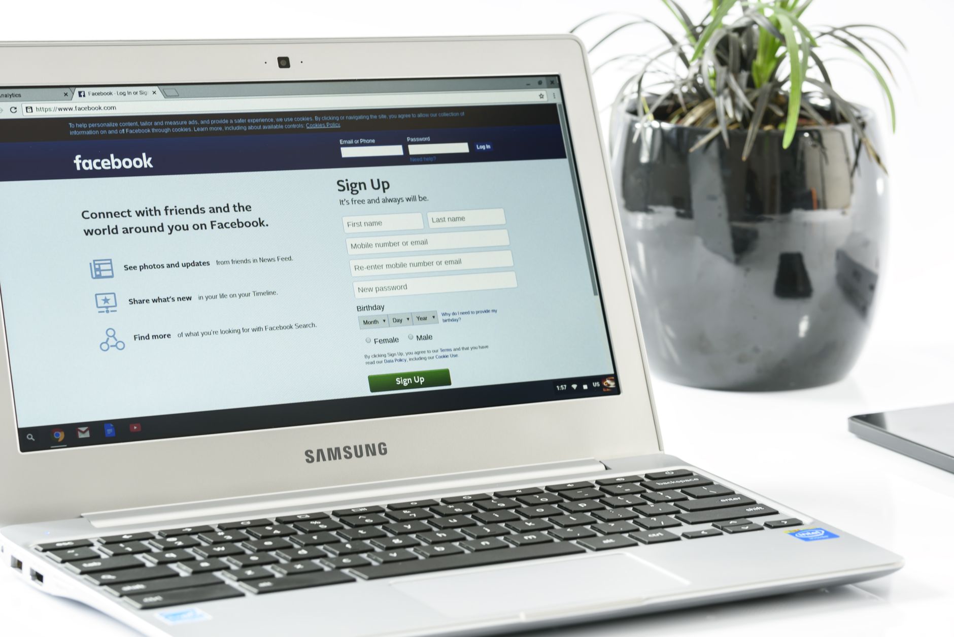 Social media automation free